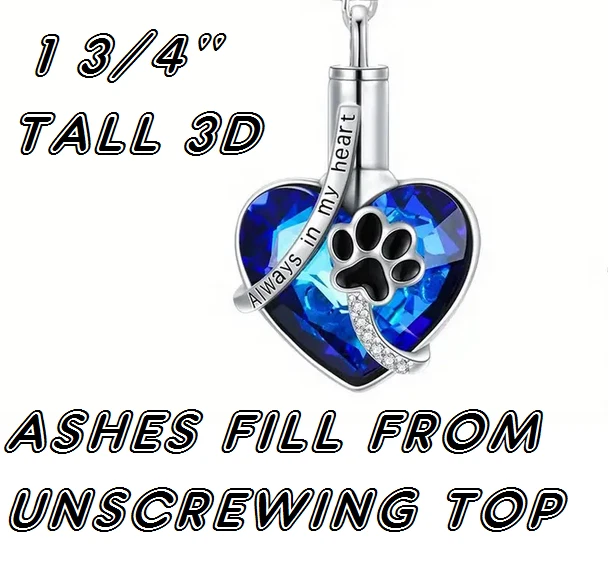 URNA CENIZAS ANIMALES CREMACIÓN MEMORIAL PERRO GATO Dije en 24" Cadena Plata 925 Chapada Foto 2 de 4