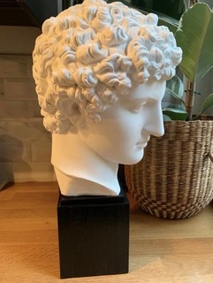 Grand moulage plâtre H.48cm buste Antinoüs du Capitole Rome milieu XXe