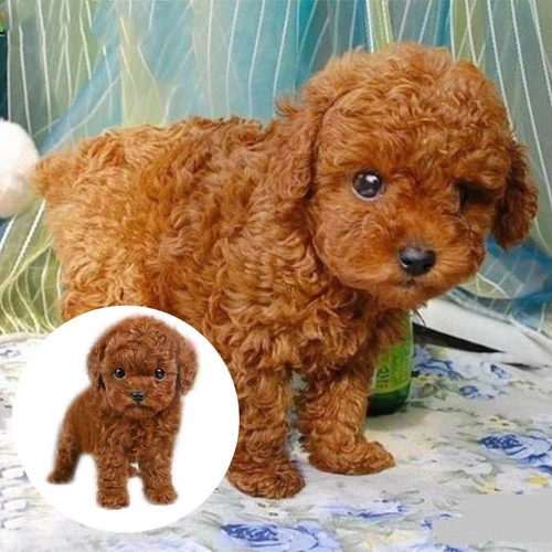 Realistisches Teddy Hund Simulationsspielzeug Hund Welpe lebensechtes Kuscheltier - Bild 5 von 5