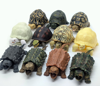 Bandai Gashapon Turtle Tortoise Figure Realistic 3 to 4 inch Direct from Japan