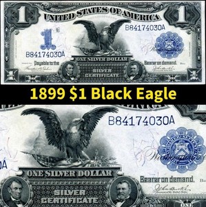 HGR SUNDAY 1899 $1 Black Eagle ((GORGEOUS)) Appears Very Near UNCIRCULATED