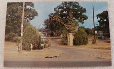 CHROME POSTCARD SAM HOUSTON STATE TEACHERS COLLEGE ENTRANCE HUNTSVILLE TEXA P316