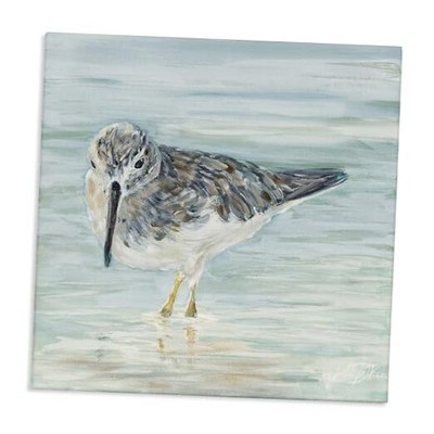  Nautical Sandpiper Shallow Beach Waters 30x30 Gallery Wrapped Canvas