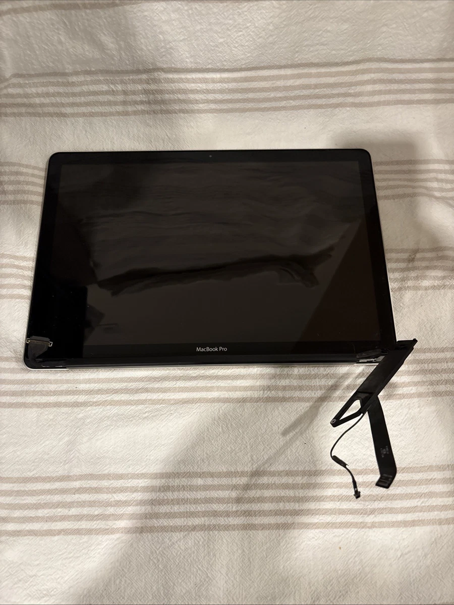 Macbook Pro 15 Screen for sale | eBay