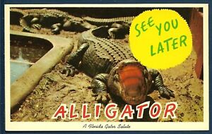 See You Later Alligator - A Florida Salute | eBay