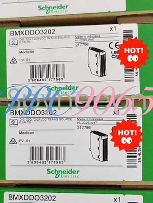 BMXDDO3202 Modicon series PLC module