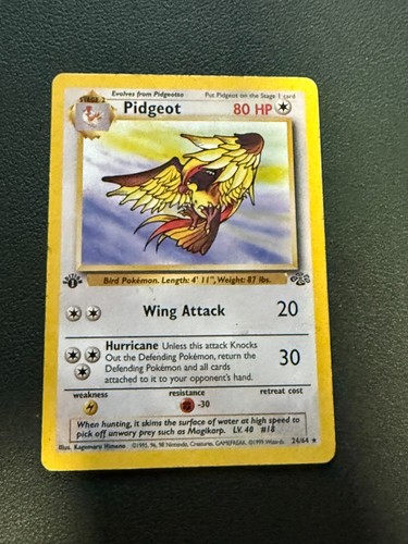 Pidgeot (24/64) Jungle 1st Edition Rare Pokémon Card LP