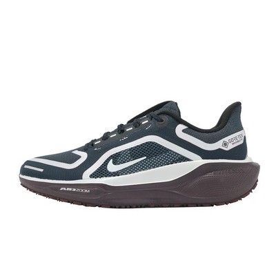 Nike Wmns Air ZM Pegasus 41 GTX Gore-Tex Dark Obsidian Women