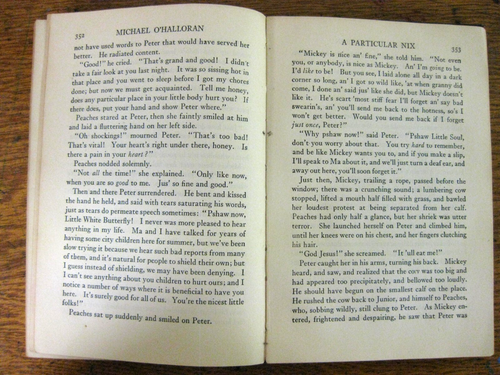 Vintage 1926 Michael O’Halloran by Gene Stratton-Porter HC Good - Picture 5 of 6