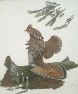 RAY HARM RUFFED GROUSE-MINT CONDITION-54 YEARS OLD-PICS DONT DO IT JUSTICE !!!