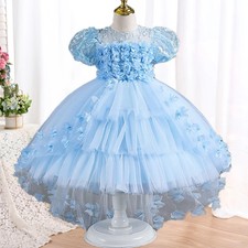 Birthday Party Ball Girl Princess Dress Lace Dress Tail Elegant Evening Gown