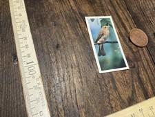 British Birds Craven Black Cat Cigarette Cards - £2 Per Card