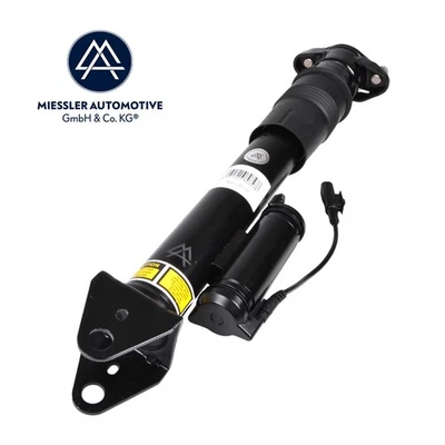 Mercedes R-Classe (W251/ V251) Amortisseur suspension pneumatique A2513203431 - Photo 1/4