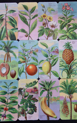 Oblaten scrap die cut chromo alter Bogen Nr. 33627 von L & B  Früchte Rarität