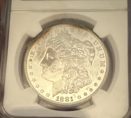 1881-S Morgan Silver Dollar $1 NGC MS66- Toned