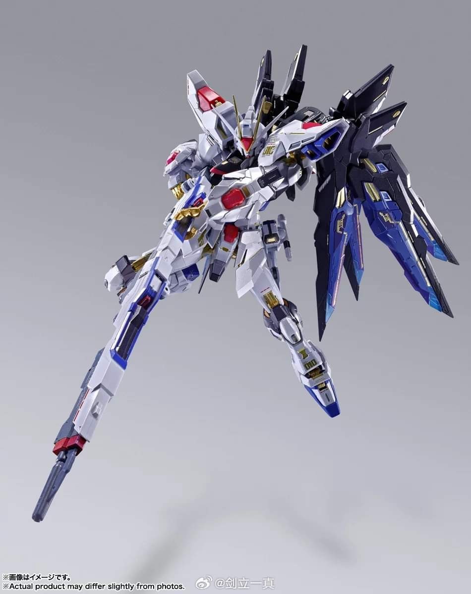 BANDAI METAL BUILD STRIKE FREEDOM GUNDAM メタルビルド ストライク