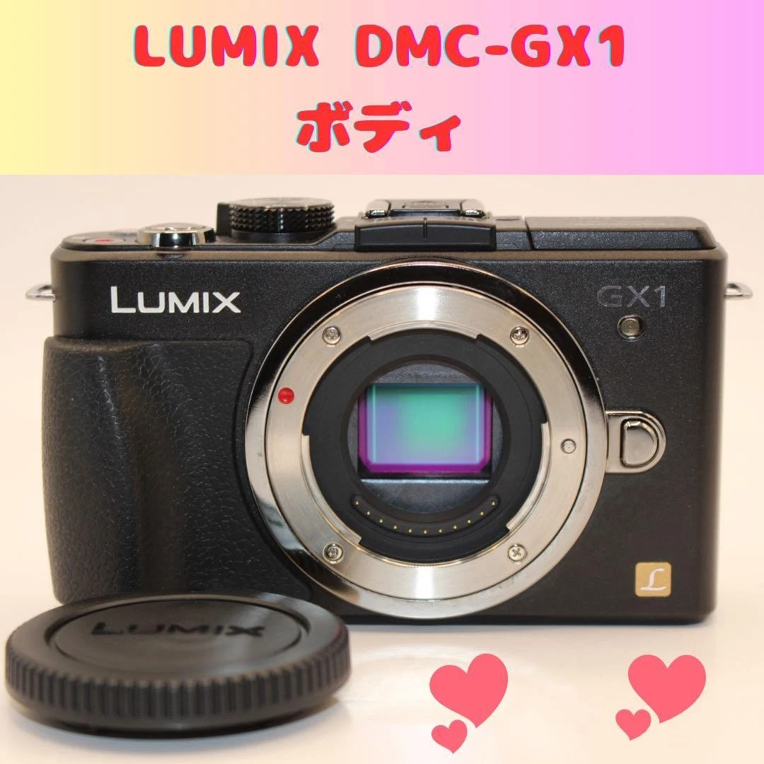Panasonic Lumix DMC-GX1 Digital Cameras for Sale - Shop New & Used