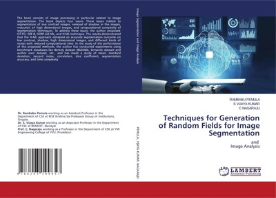 Techniques for Generation of Random Fields for Image Segmentation Pemula (u. a.)