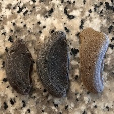 Caribbean Brown Sea Glass, Authentic Sea Glass, Surf Tumbled, Craft Supplies