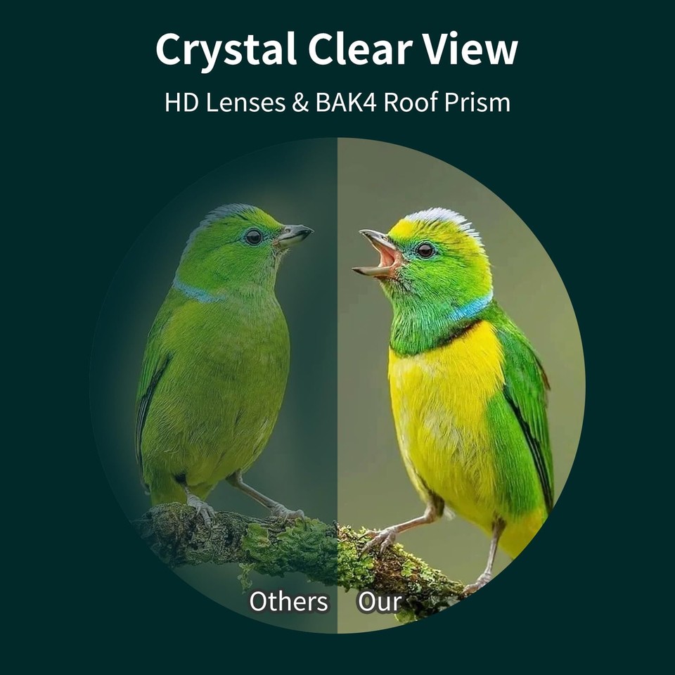 10x42 HD Binoculars for Adults High Power Waterproof Bird Watching