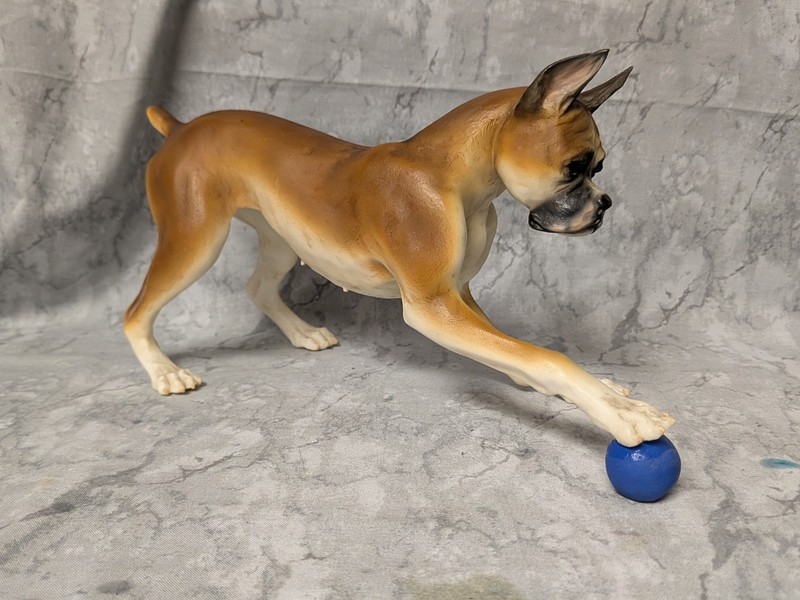 Border Fine Arts Studio? ** PLAYING BOXER DOG WITH BALL **