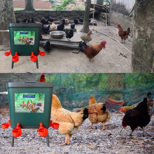 Automatic Chicken Waterer Self-Filling Float Controlled Poultry Water Feeder ... - Picture 7 of 7
