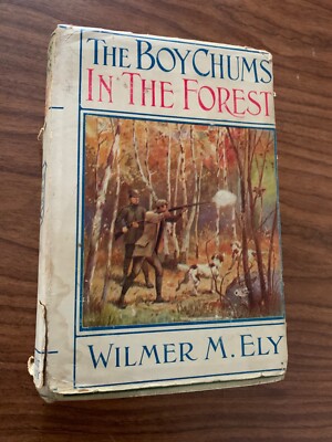 1910 Wilmer M. Ely BOY CHUMS IN THE FOREST Antique Children's Book Dust Jacket!