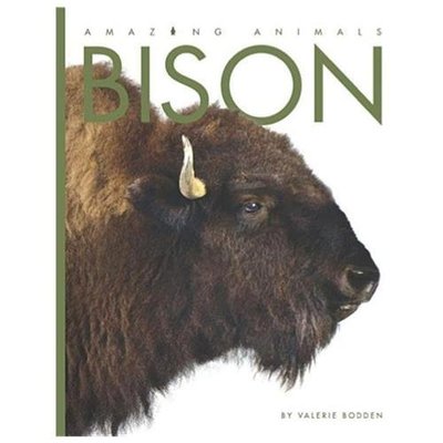 Bison by Bodden, Valerie