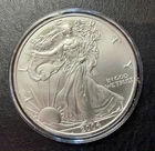 2004 American Silver Eagle Proof Coin 1 OZ $1 BU