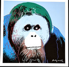 Andy Warhol  -  50x50cm -  Auflage Nr. 83/500 CMOA