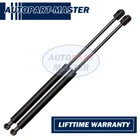 Pair Rear Liftgate Trunk Tailgate Lift Supports Fits 01-03 Hyundai Santa Fe 6109