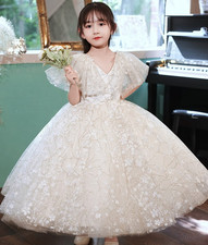 Girls Kids Long dress Mesh V-neck Floral Ball Gown Princess Wedding Frock 3.21
