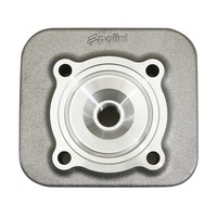 Polini Zylinderkopf FüR Piaggio 50 Zip 2T, Typhoon, Liberty 2T - Gilera 50 Stal