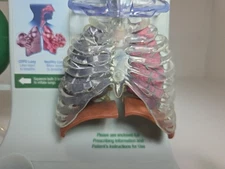  Vintage Pfizer  Lung Display Model - Interactive Pump-expanding Lungs Works
