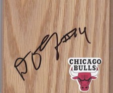 Chicago Bulls Daequan Cook Signed Floorboard COA
