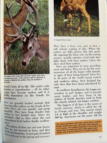 The New Junior World Encyclopedia (1977) – Revised Edition – volume 6 Dam-Edw - Picture 3 of 8