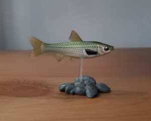 Yujin Freshwater Ray-finned Fish mini animal figure gashapon