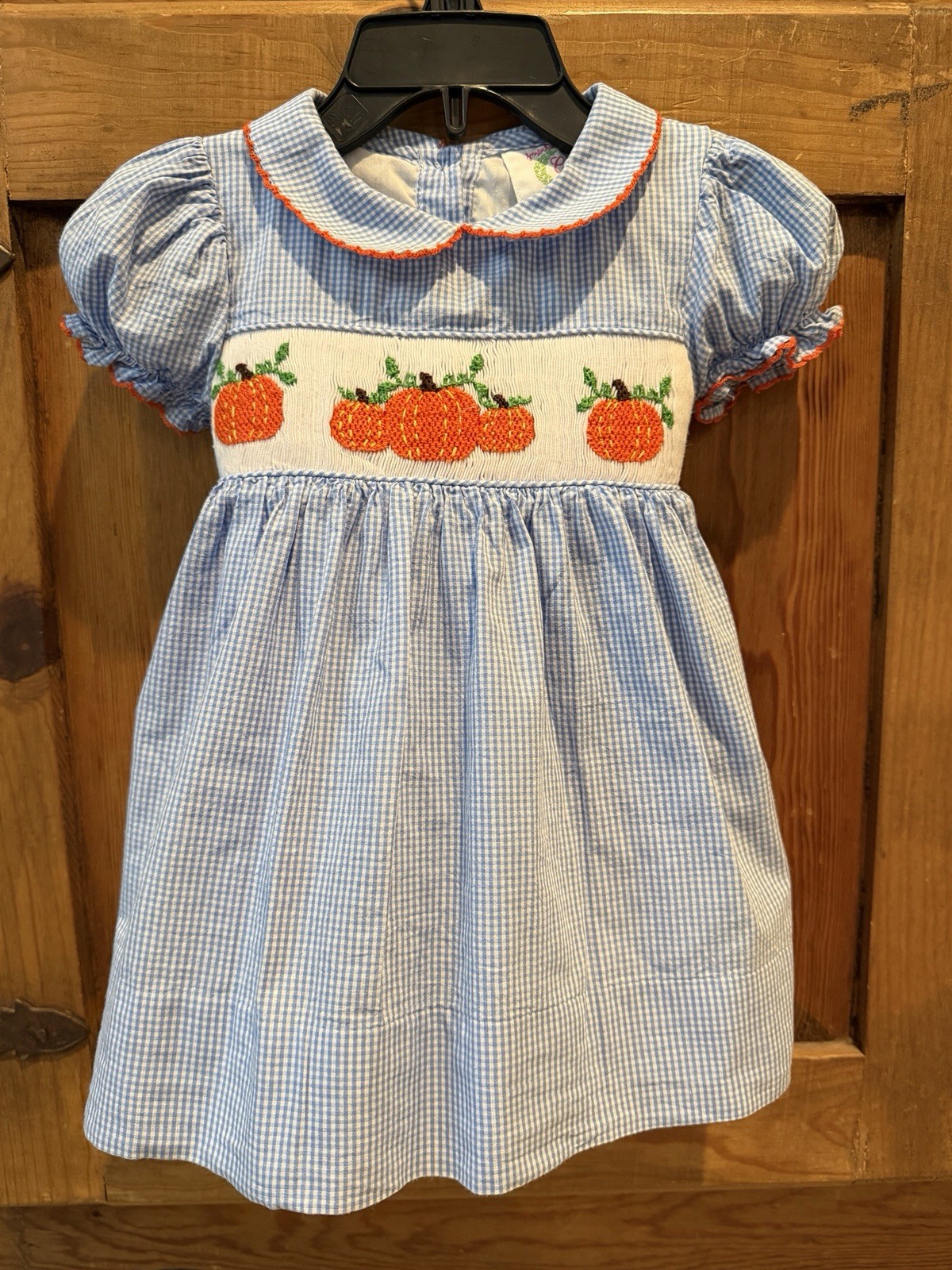 Size 9 Months Little Girls Smocked Dress