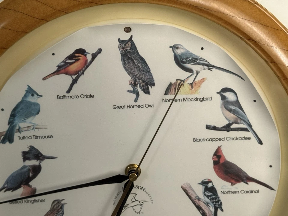 ¡Funciona! Reloj de pared de cuarzo con llamada de sonido de canto de pájaro National Audubon Society  Foto 2 de 4