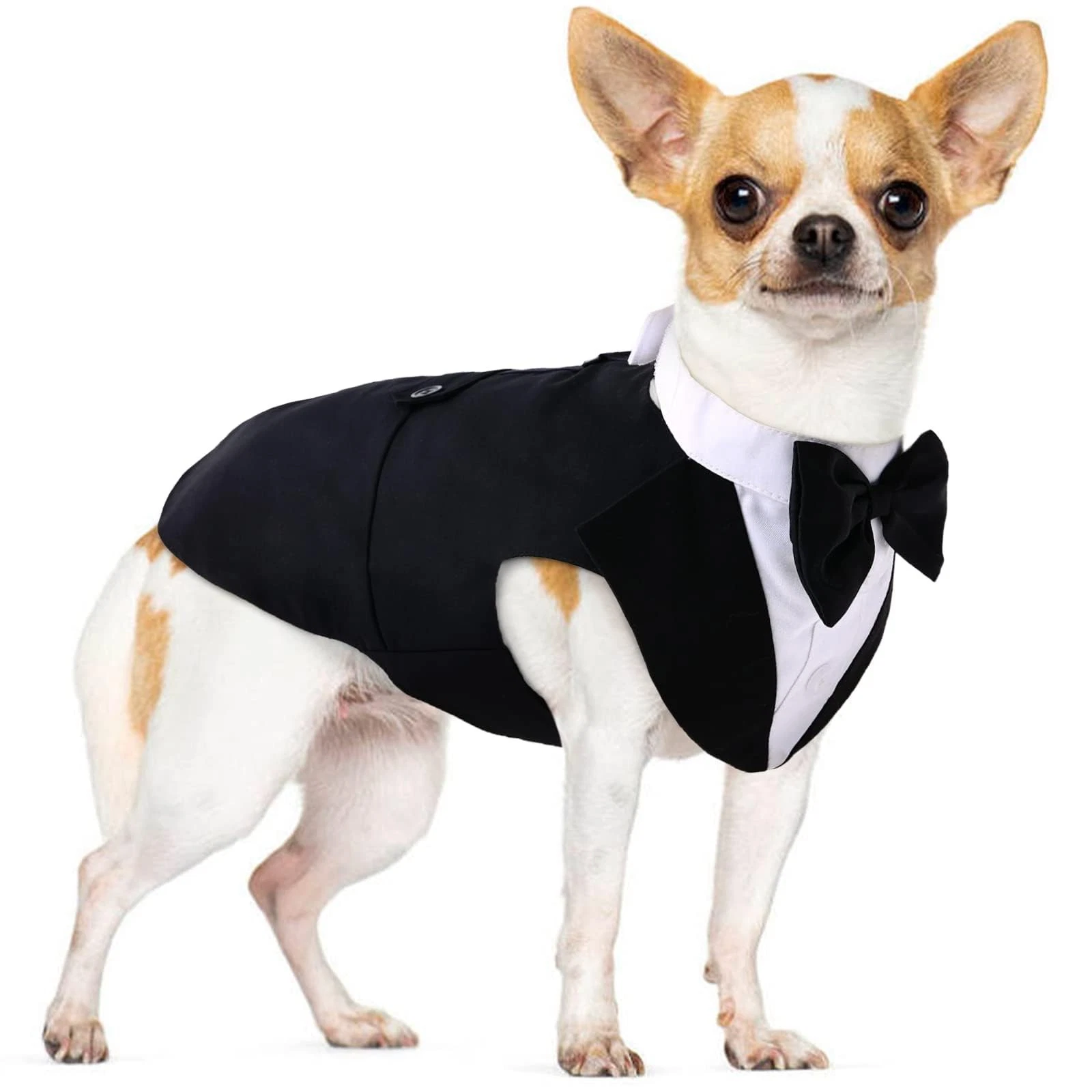 Small Dog Bowtie Tuxedo Suit, Cat Tuxedo & Bandana Set for Chihuahua, Boston ...
