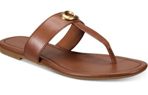 jessie buckle thong sandals