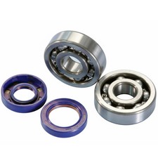 POLINI Lagersatz Überarbeitung Kurbelwelle Für Rieju Mrt, Mrx Minarelli AM6