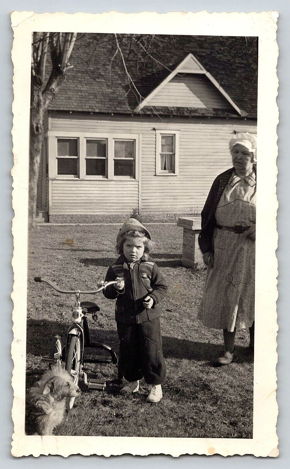 Vintage 1941 Outdoor Photo featuring Girl on Tricycle with Pet Dog and Lady by House