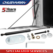 DZ43200 Dee Zee Tailgate Assist for F150 Truck Ford F 150 Lincoln Mark LT 2006