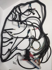Standalone Wiring Harness W-4L60E DBC Compatible With 4.8 5.3 6.0 GM LS LS1 LS6