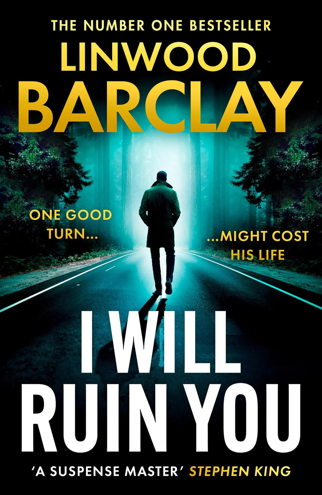 I Will Ruin You: An explosive new psychological suspense crime thriller