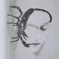 Touch | Tortoise | Vinyl / Schallplatte | 2025 | International Anthem / Indigo