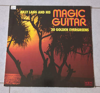Billy Lang    20 Golden Evergreens    Vinyl LP Schallplatte  GER  1979  VG/EX