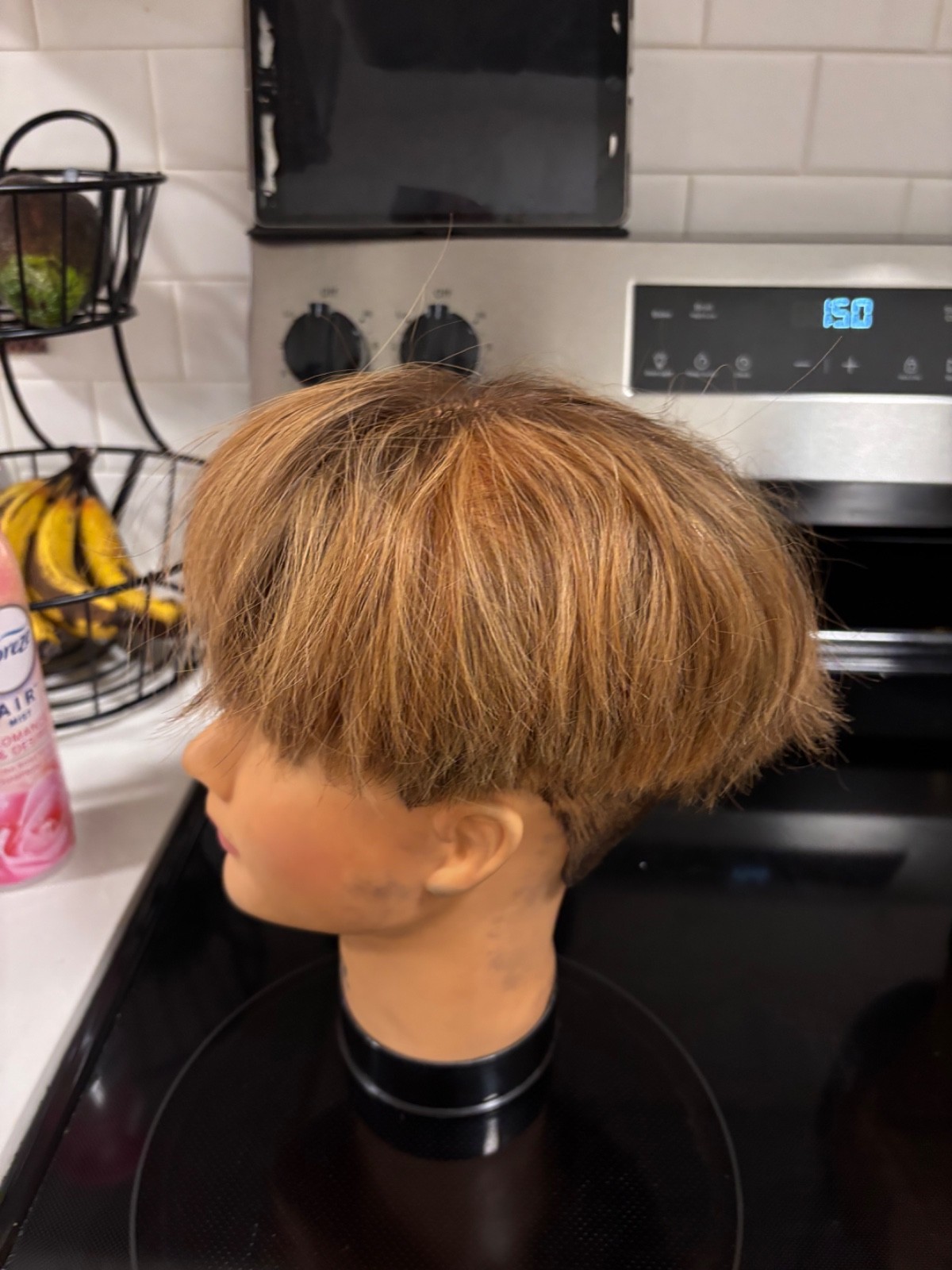 cosmetology mannequin head human hair highlight color