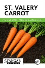 St Valery Carrot Seeds Heirloom Vegetable Non GMO 100 Organic 2026 Fresh